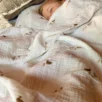 Baby wrapped in ducks muslin swaddle blanket – soft cotton newborn wrap with duck print, handmade by HomeyMuslin